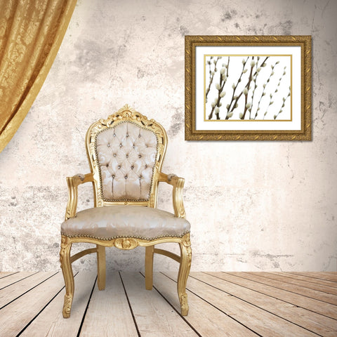 Pussy willow Gold Ornate Wood Framed Art Print with Double Matting by Frank, Assaf