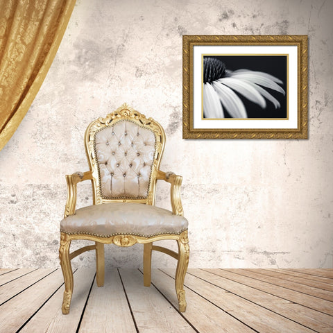 Coneflower Gold Ornate Wood Framed Art Print with Double Matting by Frank, Assaf
