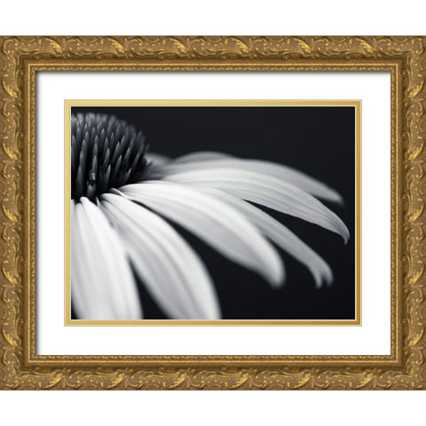 Coneflower Gold Ornate Wood Framed Art Print with Double Matting by Frank, Assaf