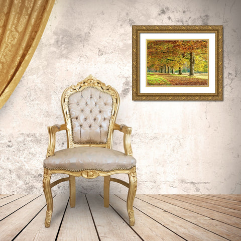 Row of trees in autumn Gold Ornate Wood Framed Art Print with Double Matting by Frank, Assaf