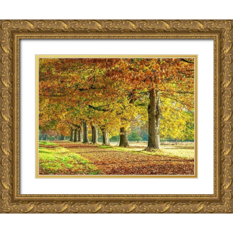 Row of trees in autumn Gold Ornate Wood Framed Art Print with Double Matting by Frank, Assaf