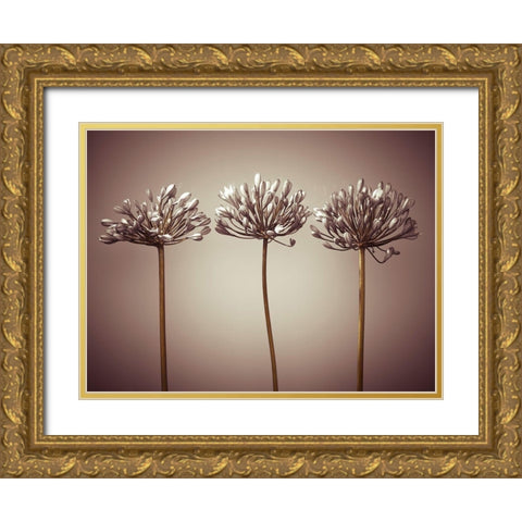 Three African Lilies Gold Ornate Wood Framed Art Print with Double Matting by Frank, Assaf