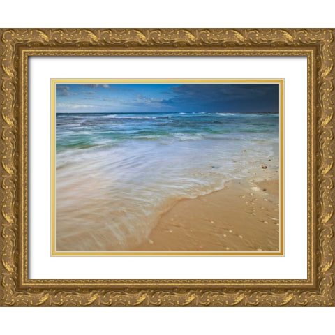 Sandy Beach Gold Ornate Wood Framed Art Print with Double Matting by Frank, Assaf