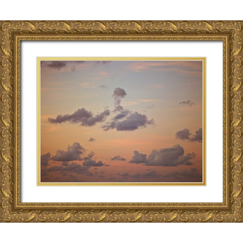 Clouds at dusk Gold Ornate Wood Framed Art Print with Double Matting by Frank, Assaf