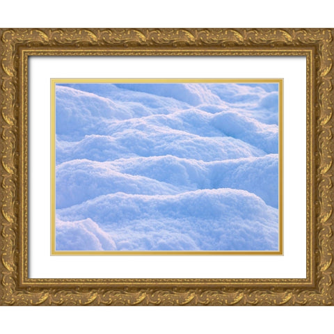 Snow Gold Ornate Wood Framed Art Print with Double Matting by Frank, Assaf