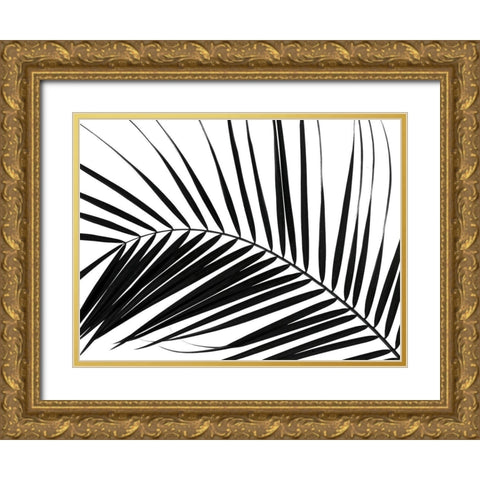 Palm tree leaf on white background Gold Ornate Wood Framed Art Print with Double Matting by Frank, Assaf