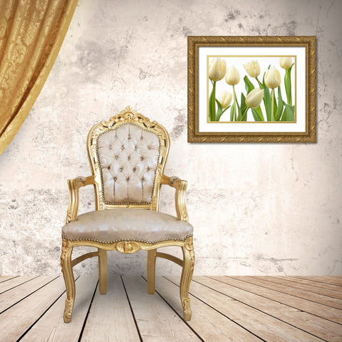 Tulip flowers Gold Ornate Wood Framed Art Print with Double Matting by Frank, Assaf