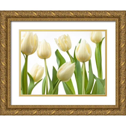 Tulip flowers Gold Ornate Wood Framed Art Print with Double Matting by Frank, Assaf