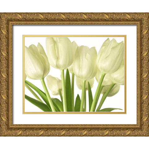 Bunch of Tulips Gold Ornate Wood Framed Art Print with Double Matting by Frank, Assaf
