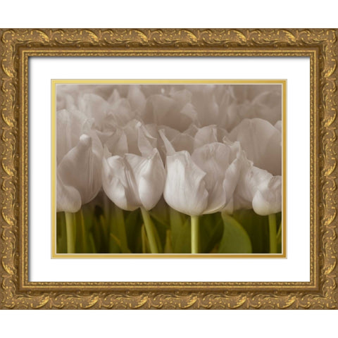 Bunch of Tulips close-up Gold Ornate Wood Framed Art Print with Double Matting by Frank, Assaf