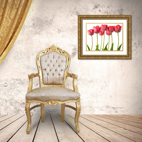 Growing Tulips Gold Ornate Wood Framed Art Print with Double Matting by Frank, Assaf