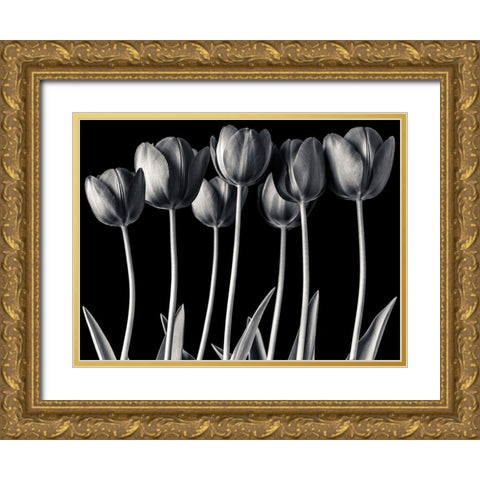 Growing Tulips, FTBR-1817 Gold Ornate Wood Framed Art Print with Double Matting by Frank, Assaf