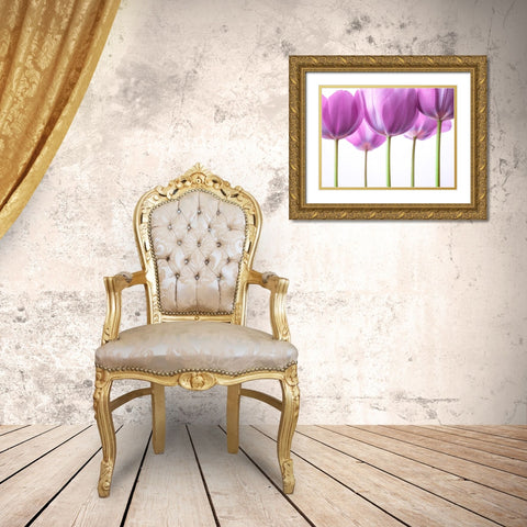 Purple Tulips Gold Ornate Wood Framed Art Print with Double Matting by Frank, Assaf