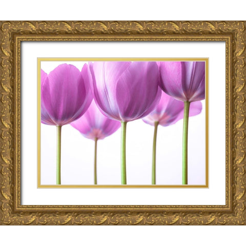 Purple Tulips Gold Ornate Wood Framed Art Print with Double Matting by Frank, Assaf