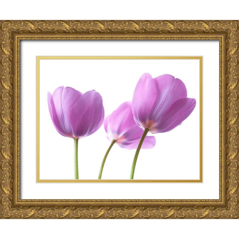 Purple Tulips Gold Ornate Wood Framed Art Print with Double Matting by Frank, Assaf