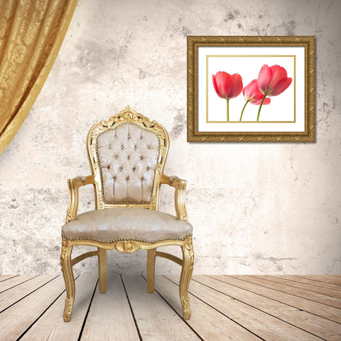 Red Tulips Gold Ornate Wood Framed Art Print with Double Matting by Frank, Assaf