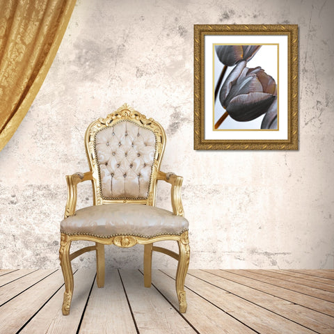 Tulip flowers on white background Gold Ornate Wood Framed Art Print with Double Matting by Frank, Assaf