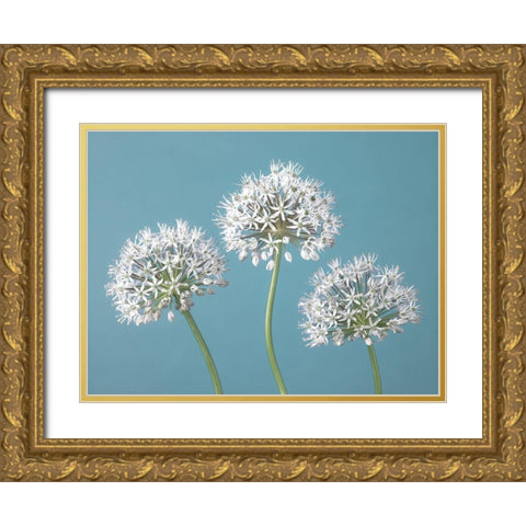 Three Alliums Gold Ornate Wood Framed Art Print with Double Matting by Frank, Assaf