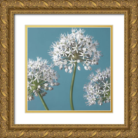 Three Alliums, FTBR-1874 Gold Ornate Wood Framed Art Print with Double Matting by Frank, Assaf