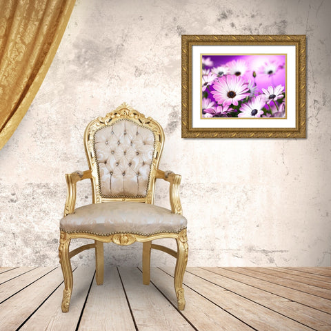Osteospermum flowers Gold Ornate Wood Framed Art Print with Double Matting by Frank, Assaf