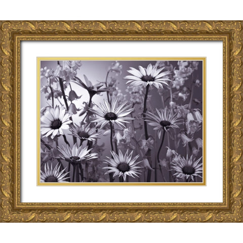 Meadow flowers Gold Ornate Wood Framed Art Print with Double Matting by Frank, Assaf