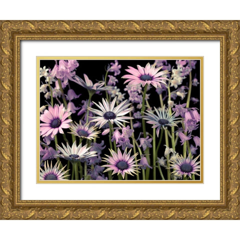 Meadow flowers Gold Ornate Wood Framed Art Print with Double Matting by Frank, Assaf