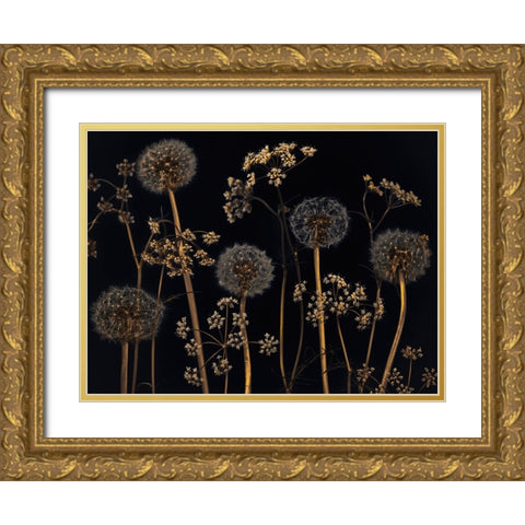 Meadow flowers Gold Ornate Wood Framed Art Print with Double Matting by Frank, Assaf