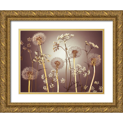 Meadow flowers Gold Ornate Wood Framed Art Print with Double Matting by Frank, Assaf