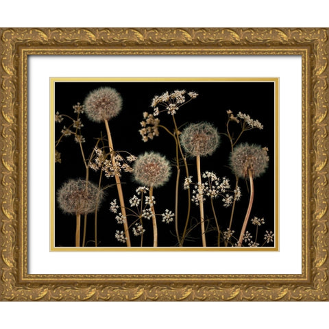 Meadow flowers Gold Ornate Wood Framed Art Print with Double Matting by Frank, Assaf