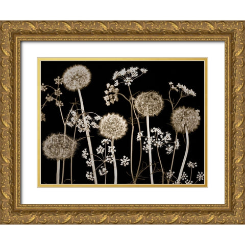Meadow flowers Gold Ornate Wood Framed Art Print with Double Matting by Frank, Assaf