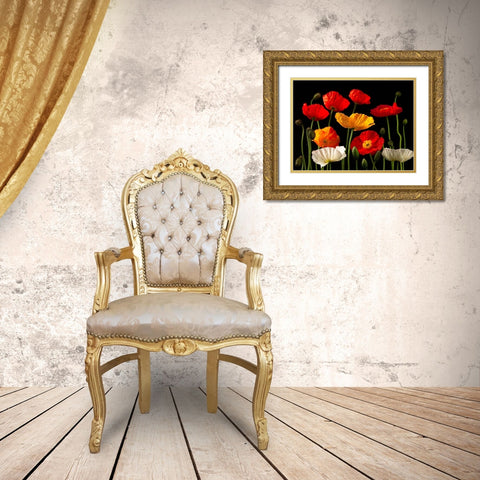 Multicoloured Poppies and buds Gold Ornate Wood Framed Art Print with Double Matting by Frank, Assaf