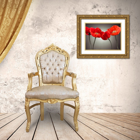 Four Poppies Gold Ornate Wood Framed Art Print with Double Matting by Frank, Assaf