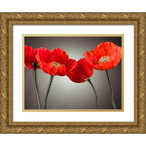 Four Poppies Gold Ornate Wood Framed Art Print with Double Matting by Frank, Assaf