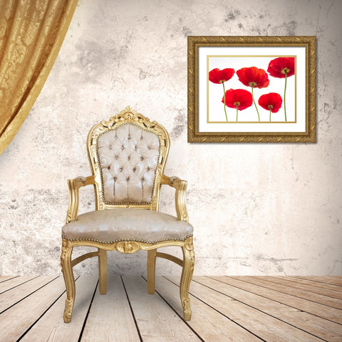 Five Poppies Gold Ornate Wood Framed Art Print with Double Matting by Frank, Assaf