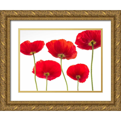 Five Poppies Gold Ornate Wood Framed Art Print with Double Matting by Frank, Assaf