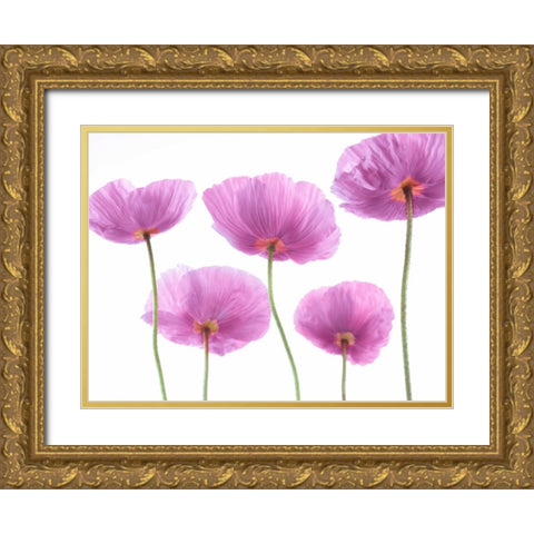 Five Poppies Gold Ornate Wood Framed Art Print with Double Matting by Frank, Assaf