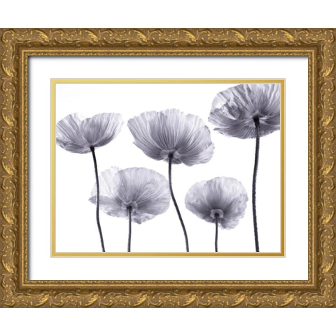 Five Poppies Gold Ornate Wood Framed Art Print with Double Matting by Frank, Assaf