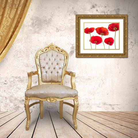 Five Poppies Gold Ornate Wood Framed Art Print with Double Matting by Frank, Assaf