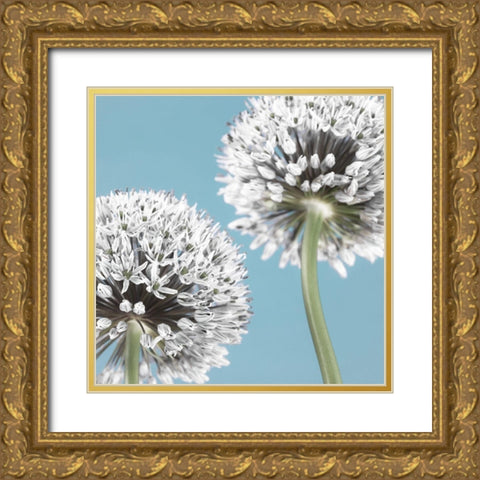 Two Allium flowers Gold Ornate Wood Framed Art Print with Double Matting by Frank, Assaf