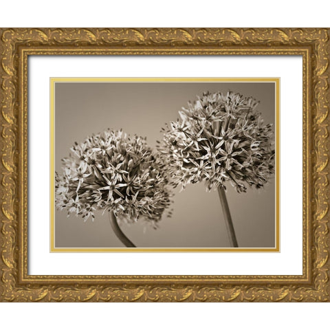 Two Allium flowers Gold Ornate Wood Framed Art Print with Double Matting by Frank, Assaf