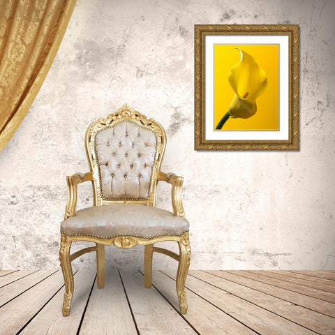 Calla Lily Gold Ornate Wood Framed Art Print with Double Matting by Frank, Assaf