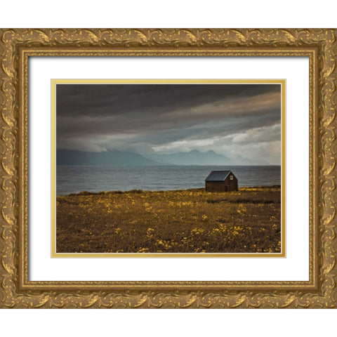 Beach hut on Lofoten coastline, Norway Gold Ornate Wood Framed Art Print with Double Matting by Frank, Assaf