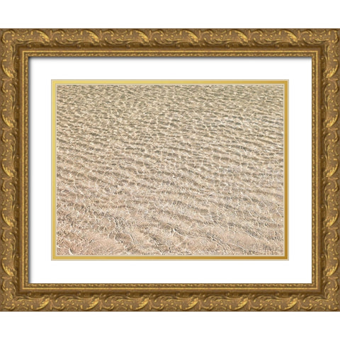 Shallow water on beach Gold Ornate Wood Framed Art Print with Double Matting by Frank, Assaf