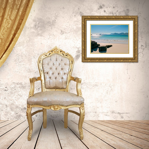 Beautiful beach, Lofoten, Norway Gold Ornate Wood Framed Art Print with Double Matting by Frank, Assaf