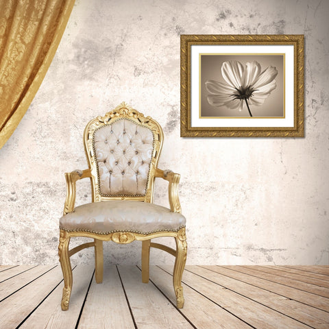 Cosmos flower Gold Ornate Wood Framed Art Print with Double Matting by Frank, Assaf