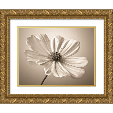 Cosmos flower Gold Ornate Wood Framed Art Print with Double Matting by Frank, Assaf