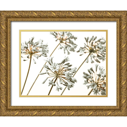 African Lilies Gold Ornate Wood Framed Art Print with Double Matting by Frank, Assaf