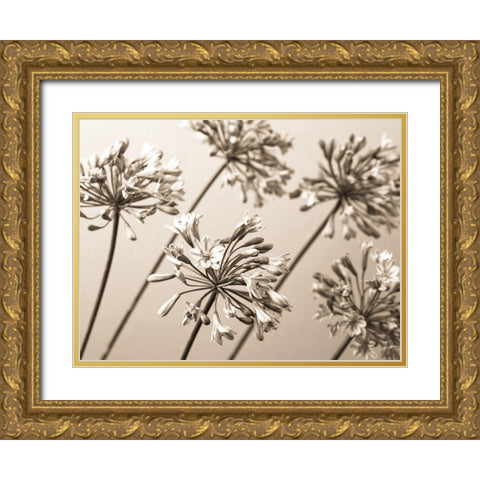 African Lilies Gold Ornate Wood Framed Art Print with Double Matting by Frank, Assaf