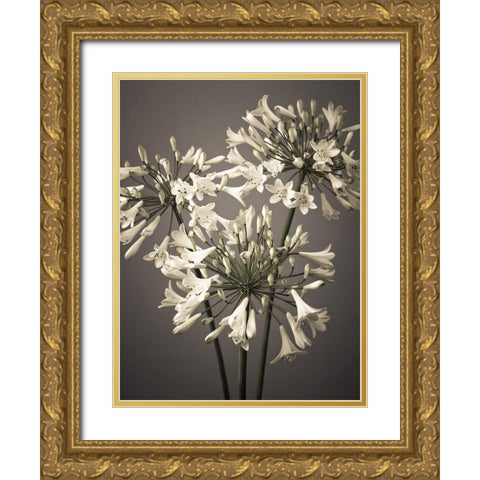 African Lilies Gold Ornate Wood Framed Art Print with Double Matting by Frank, Assaf