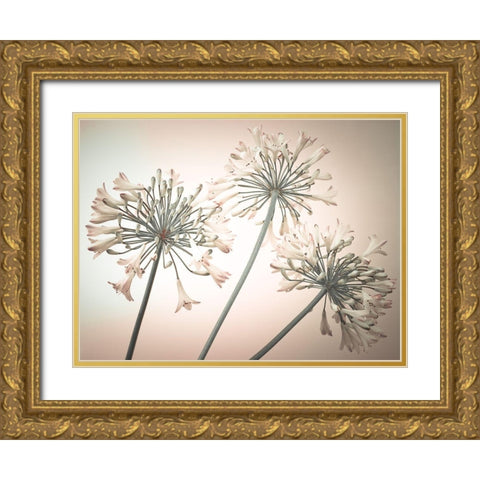 African Lilies Gold Ornate Wood Framed Art Print with Double Matting by Frank, Assaf